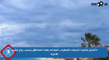 «تحذير عاجل» الأرصاد اضطراب الملاحة بهذه المناطق بسبب رياح مثيرة للأتربة